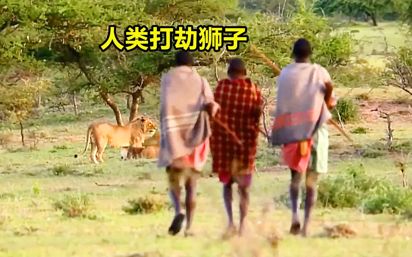 荐股大赛，智慧与勇气的较量