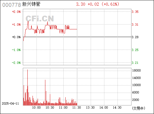 000778新兴铸管股票，行业龙头的稳健成长与投资价值分析