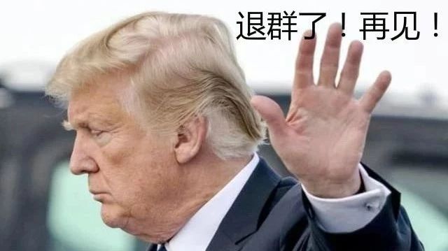 特朗普政府关税政策的迷雾，显然，对等关税计算中缺失了关税数据