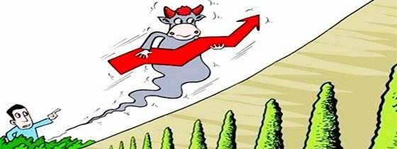 方大碳素股票，行业龙头的崛起与挑战