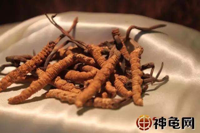 探索维生素股票板块的潜力与机遇