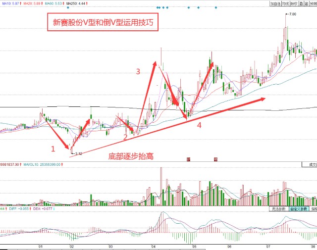 探索新塞股份，创新驱动下的产业升级与未来展望