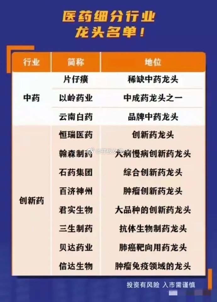 医药行业龙头股票，稳健增长与未来展望