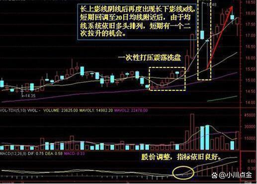速成之路，揭秘软件炒股高手的成长秘籍