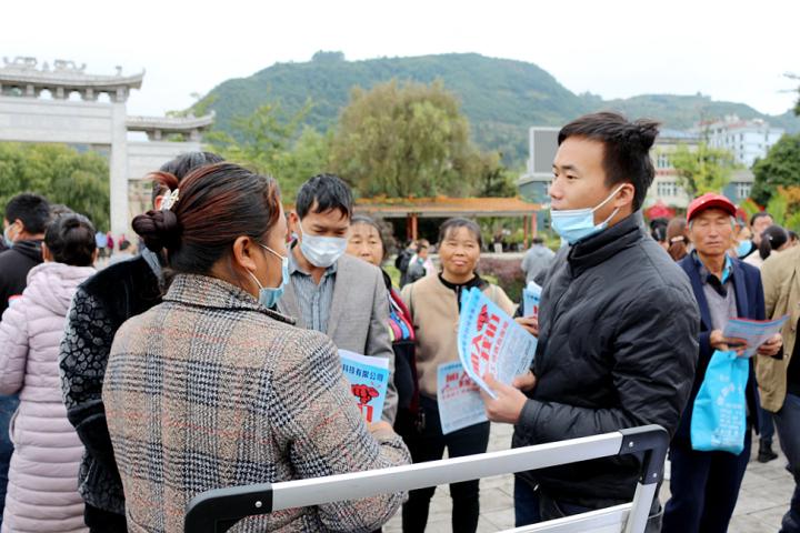 茶花股份，股票行情的深度剖析与未来展望