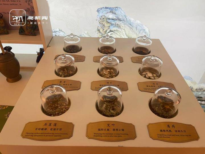 康缘药业股票行情，传统中药与现代科技的融合之旅