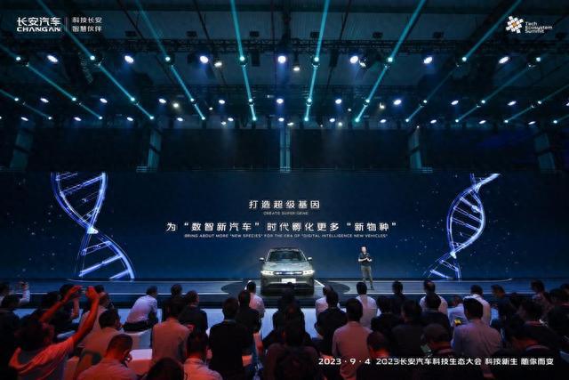 探秘金信科技股票，科技创新引领未来