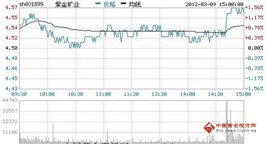 紫金矿业股票，投资价值与风险评估