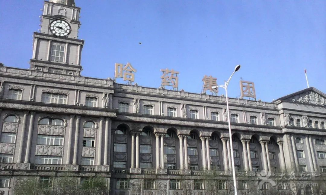哈药股份，股票背后的故事与前景展望