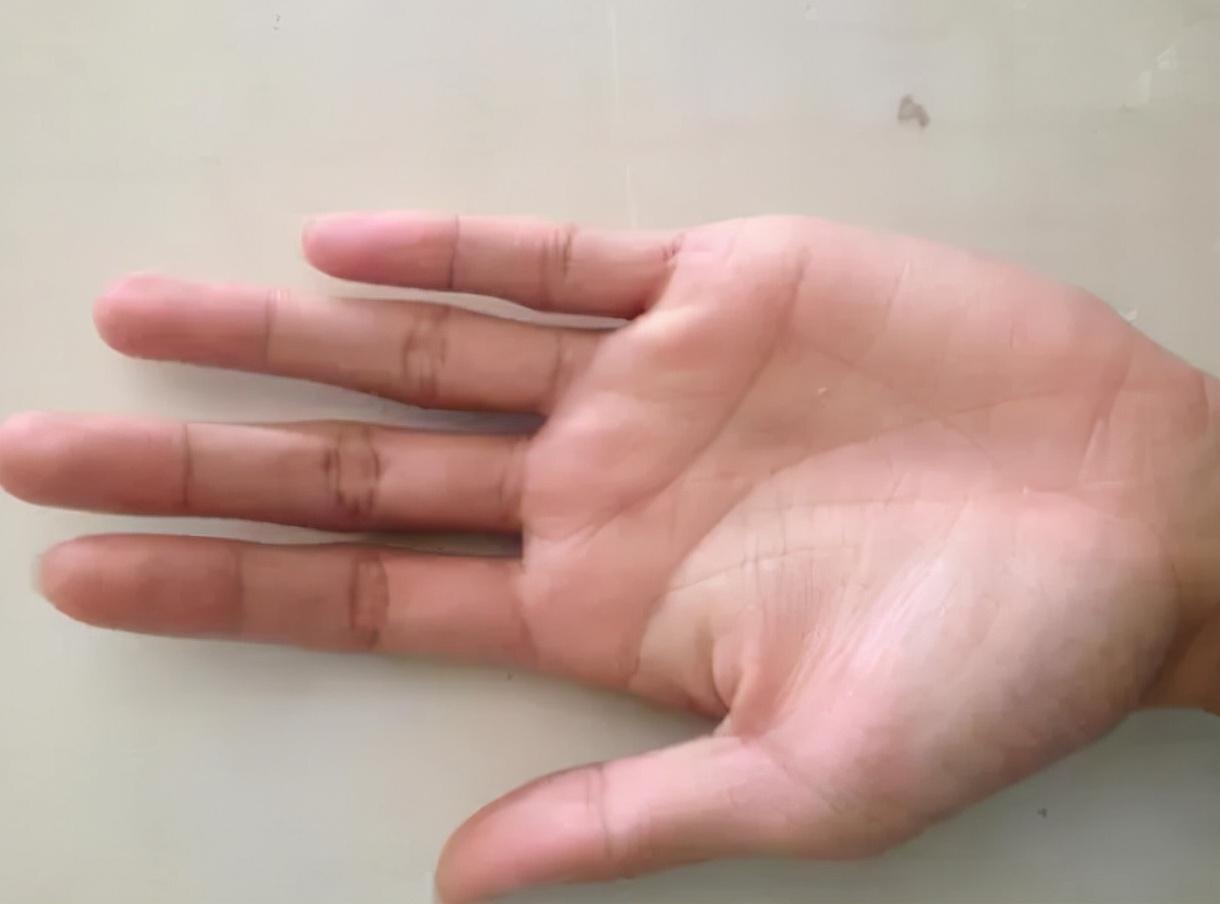掌中财富，揭秘能看筹码的手机炒股软件