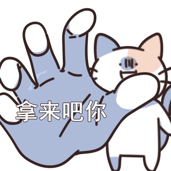 全志科技股票，创新驱动下的成长之路与投资价值分析