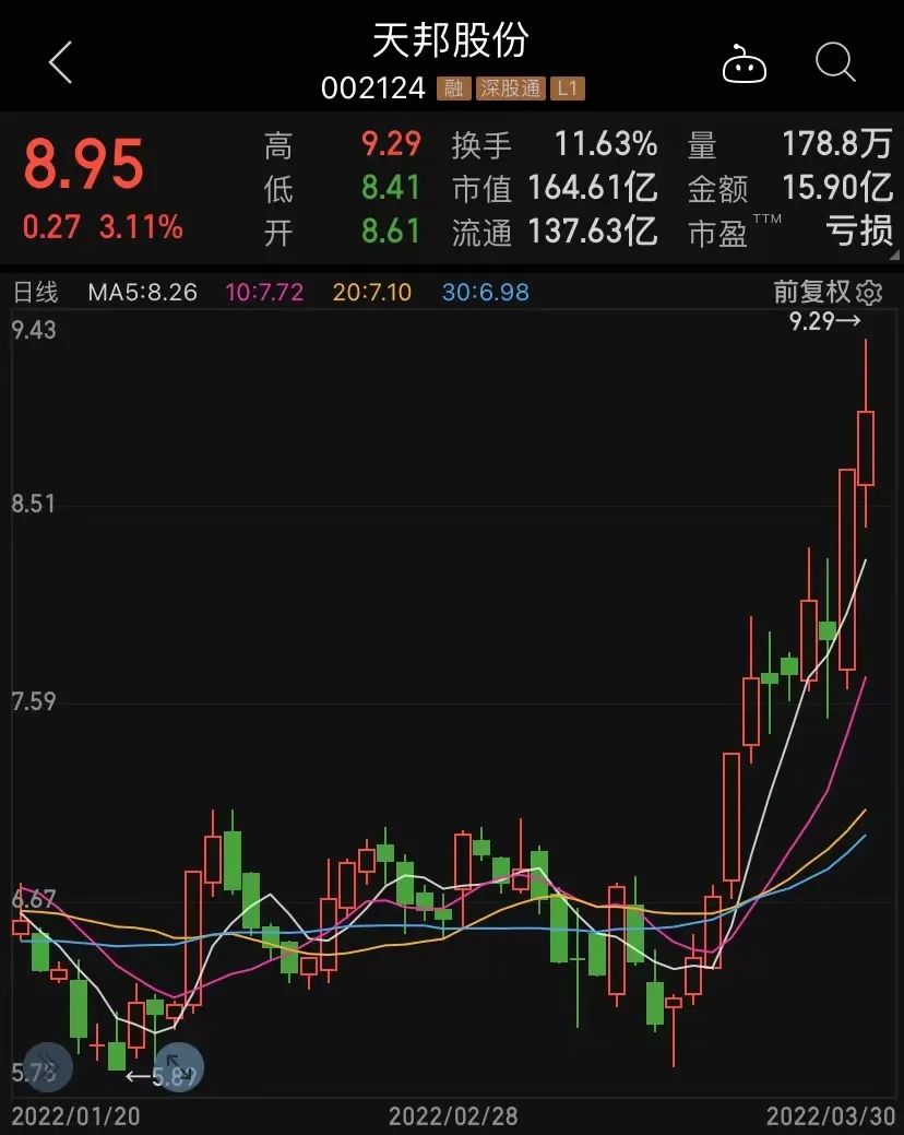 探秘天邦股份股票，从行业龙头到未来蓝图的深度剖析