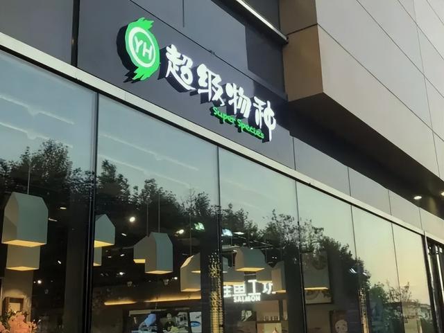 永辉超市股票，601933的崛起与挑战