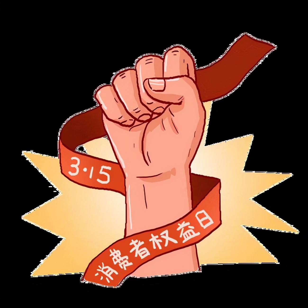 股票持有人，权益、责任与未来展望