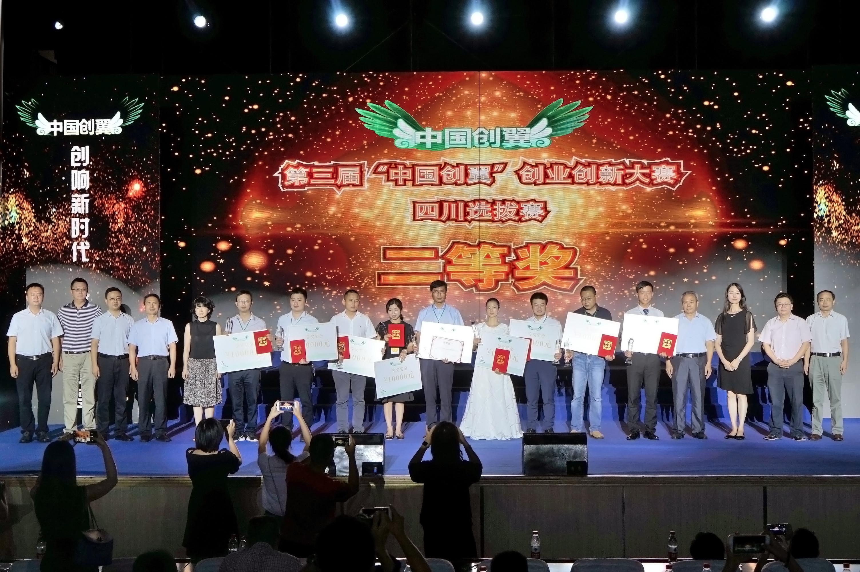 罗曼股份，以创新为翼，翱翔于数字营销的蓝天