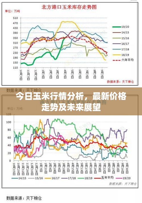 玉米价格最新行情分析与展望