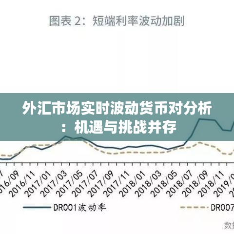 新华都股票最新动态，市场波动中的机遇与挑战