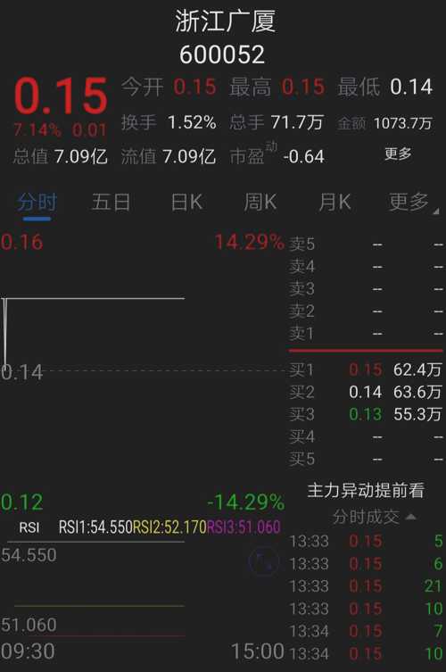 浙江广厦股票，600052的深度剖析与投资策略