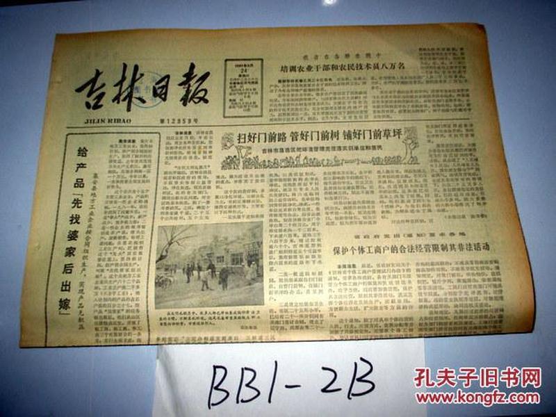 3月3日软商品日报，市场动态与趋势分析