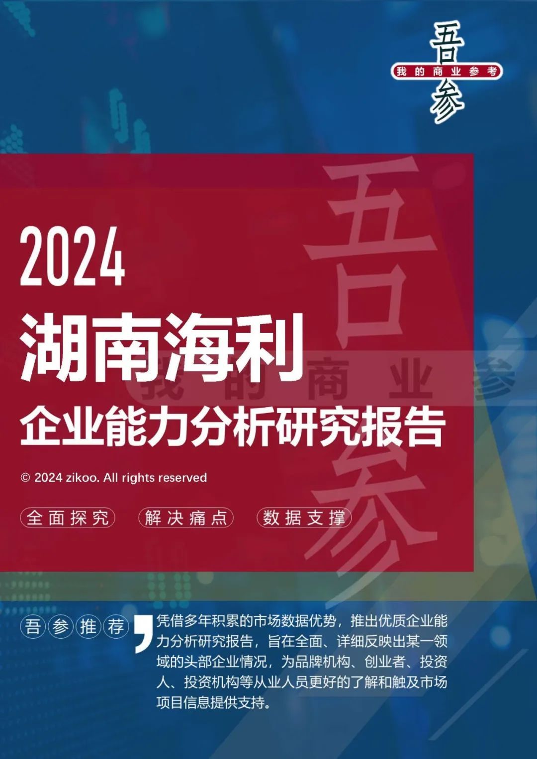 湖南海利股票深度分析与投资策略探讨