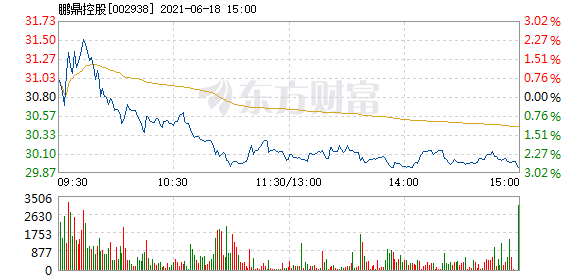 鼎鹏控股股票，潜力与挑战并存的资本市场新星