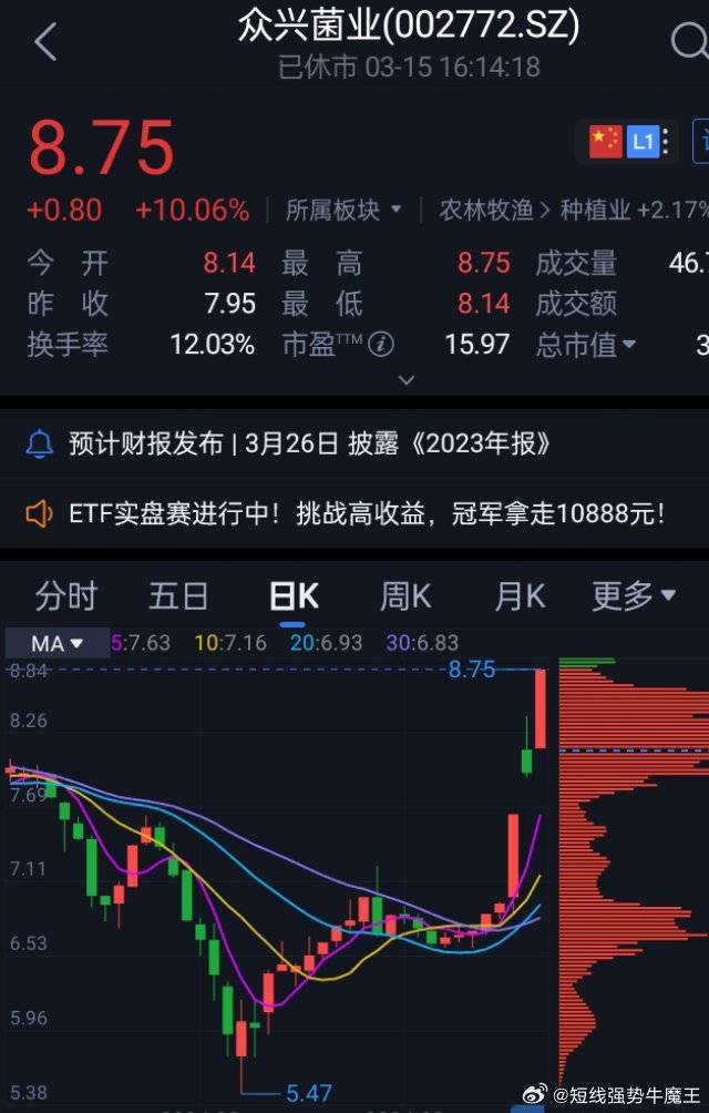 众业菌业股票，行业新秀的崛起与未来展望