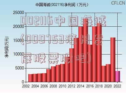 银禧科技股票，300221的崛起与未来展望