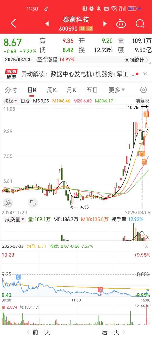600590股吧，深度剖析与投资策略