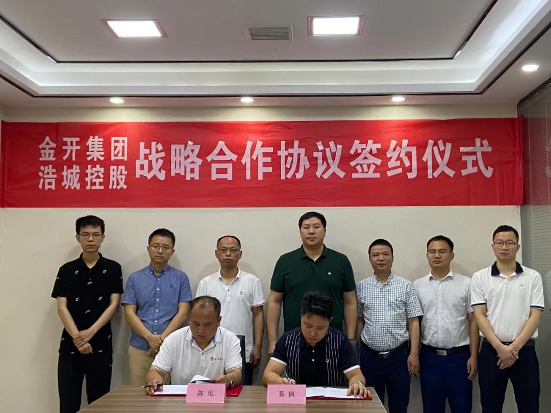 对子公司增资，战略驱动下的资本布局与优化