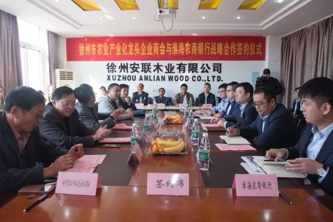 大金融板块龙头股票，引领市场风潮的金融巨头