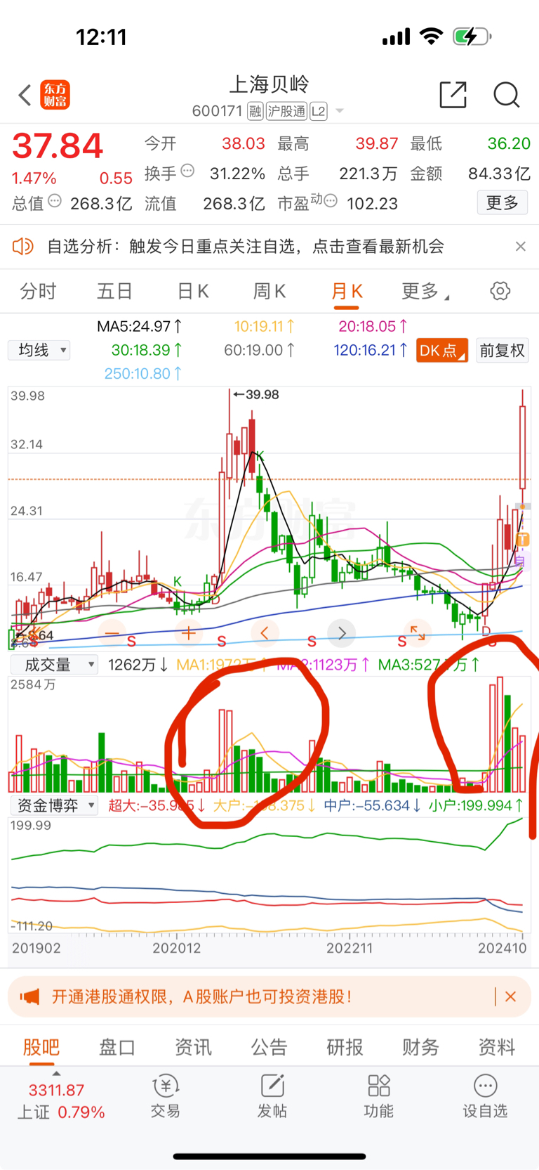 探秘上海贝岭股票行情，科技蓝筹的稳健之旅