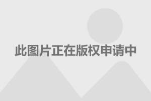 601985中国核电股票行情，稳健前行，绿色能源的未来之星