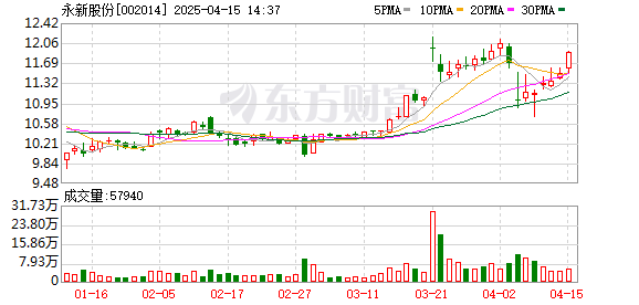 永新股份股票，市场动态与投资价值分析