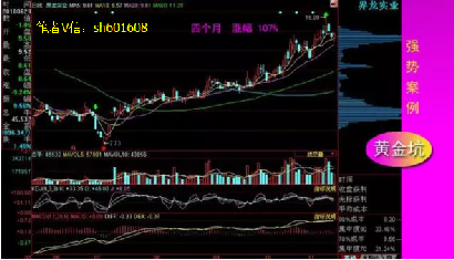 界龙实业股吧，深度剖析与未来展望