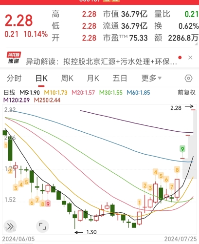 600179股吧，深度剖析与投资策略探讨