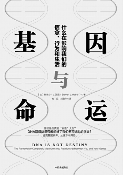 未来两周，决定命运的关键时刻