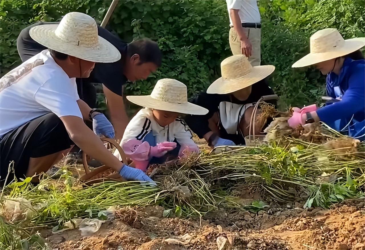 金融理财师考试，开启个人职业发展的金钥匙