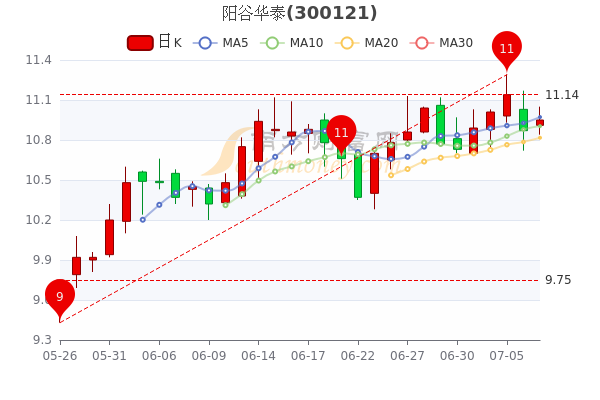 阳谷华泰股票，从行业龙头到价值投资的典范
