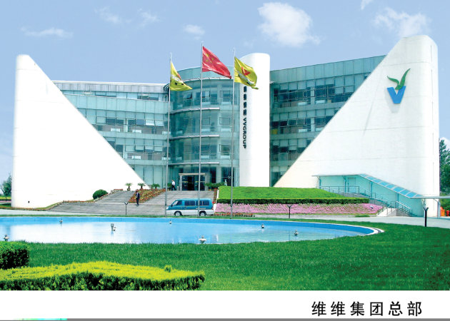 维维集团股份有限公司，从传统到现代的转型之路