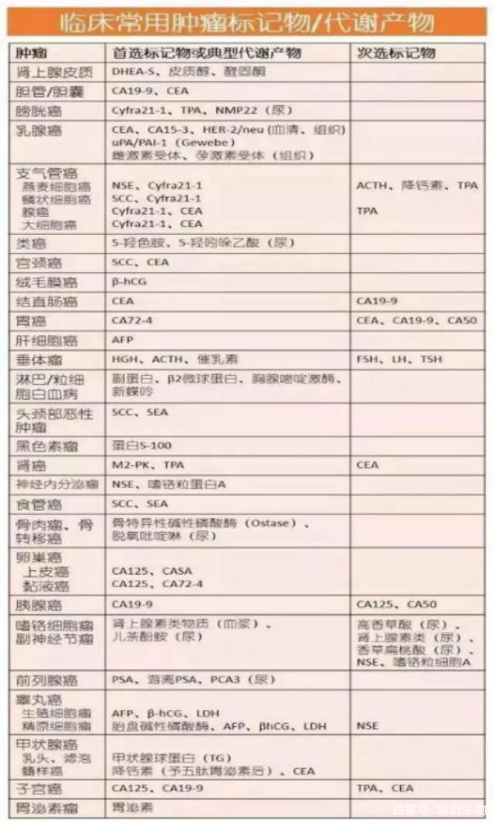 股票手机炒股软件排行榜，解析当下最受欢迎的炒股工具