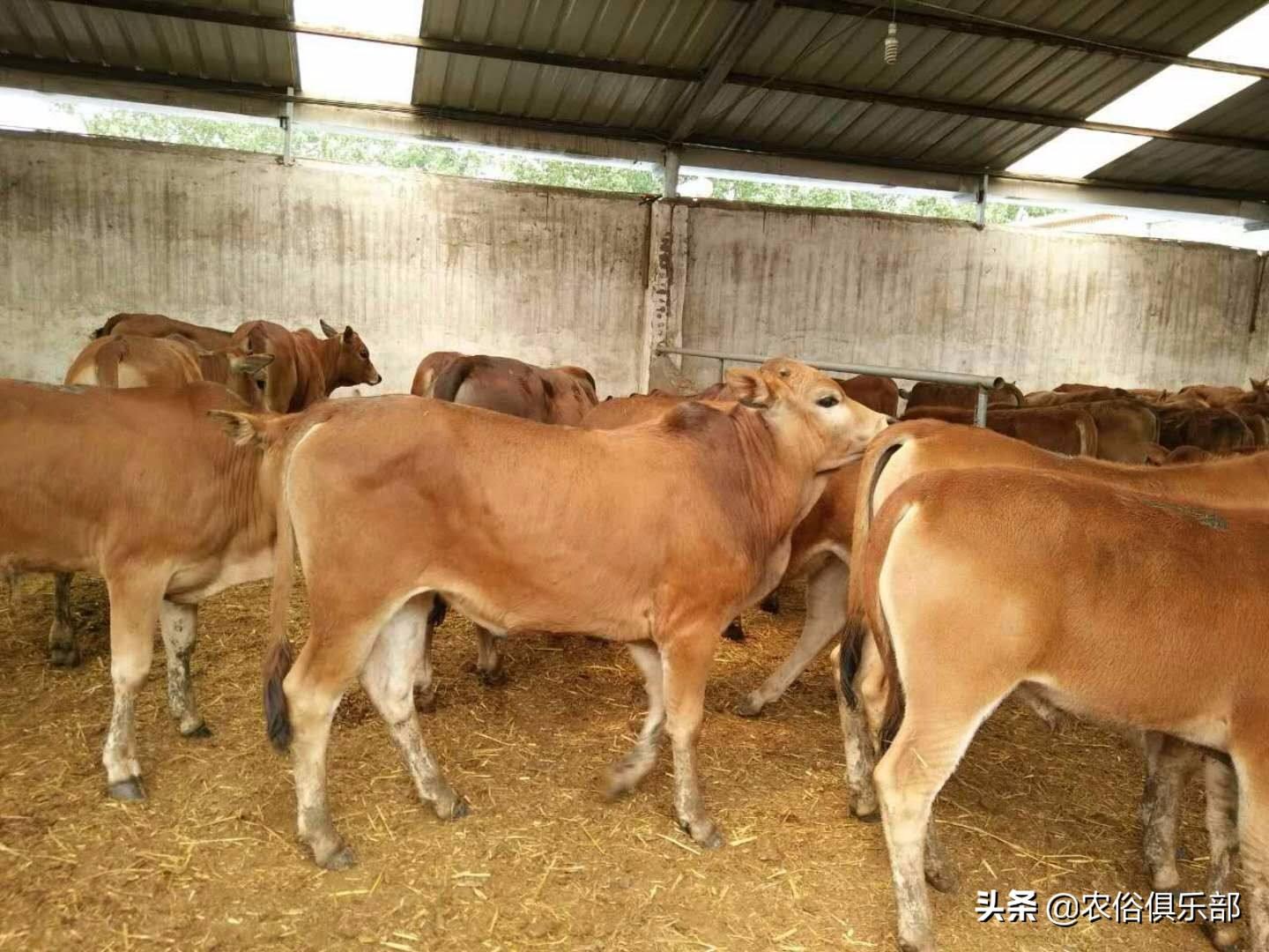 融信中国股票，投资前景深度解析