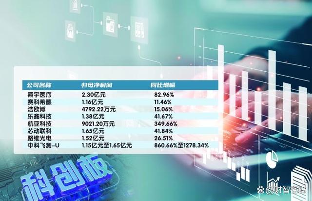 探秘上海中微半导体，科技创新引领的股市新星
