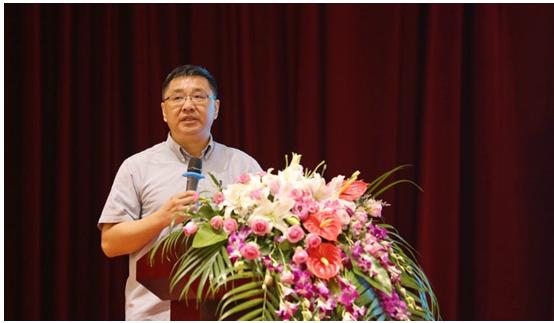 国投资本股票最新动态，稳健增长与市场展望