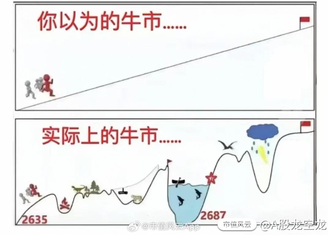 探秘神开股份，股市风云中的开山之石