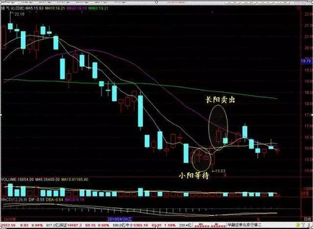 揭秘204001，一只被低估的潜力股