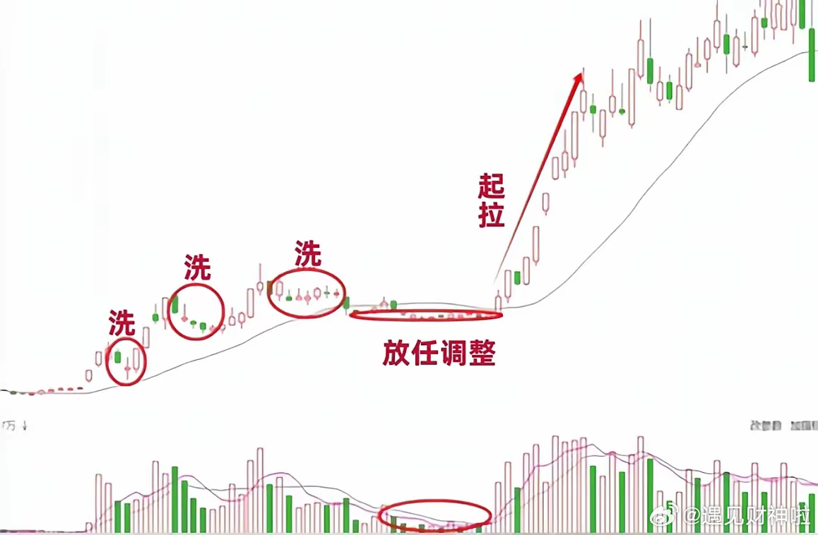 股票涨势最强劲的奥秘探究