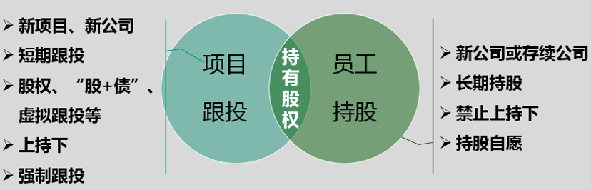 公司出资与员工跟投，共创共赢的创新融资模式