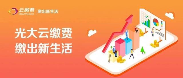 鸿博股份（002229）科技与创新的双轮驱动者