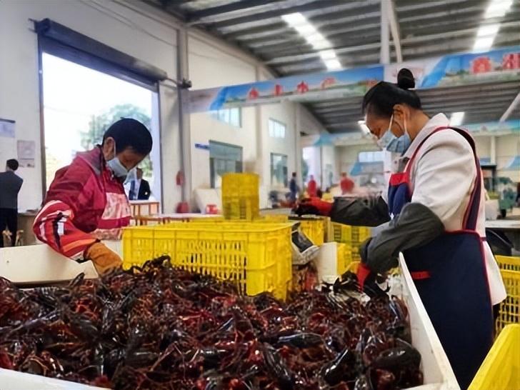 浩丰科技股票，科技蓝海中的潜力股