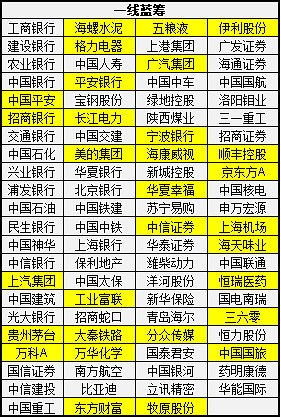 二线蓝筹股票一览，价值与潜力并存的投资选择